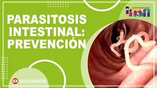 Parasitosis Intestinal Prevención - Tele IEC