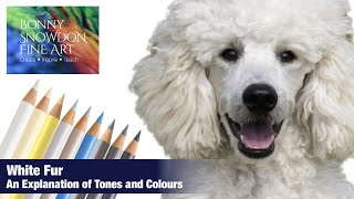 White Fur | An Explanation of Tones and Colours