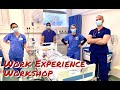 The Medic Life Work Experience Workshop 2024