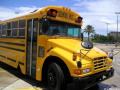 Blue Bird School Buses