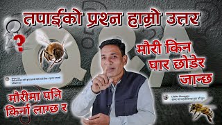 सेरेना मौरीलाई कस्तो बास्थान चाहिन्छ || खयरबाट मौरीले मह ल्याउछ त || मौरीको लागि राम्रो फूल || EP 24