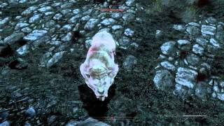 Elder Scrolls Skyrim Console Commands (LIST DOWNLOAD)