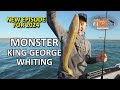 Fishing Edge - How To Catch Monster King George Whiting