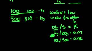 17 Psychophysics - Difference Threshold and Weber Fractions