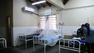 OPS: Pandemia aumenta riesgo de muerte por enfermedades trasmitidas por mosquitos | AFP
