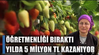 Öğretmenliği Bıraktı Yılda 5 Milyon TL Kazanıyor! Topraksız Tarımla Üretim! / AGRO TV HABER