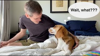A big announcement for our channel