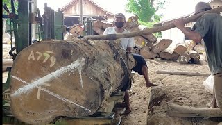 Proses Detail Sawmill Jati Super Besar lingkar300 kayu jati perhutani,wood working, IndonesianSawing