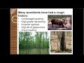 Woodland Management Webinar: Healthy Woodlands