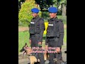 POLISI MILITER DAN TUGASNYA!!! #PM #police