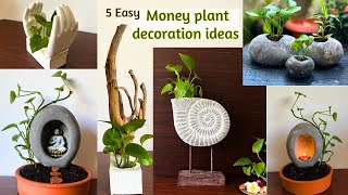 5 Easy Indoor money plant decoration ideas | मनी प्लांट की सजावट plant decor with cement planter DIY