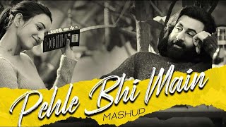 Pehle Bhi Main Mashup Slowed and Reverb Song | Animal Songs Best of Vishal Mishra Bollywood Lofi