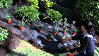 How to Create Your Own Landscape Garden