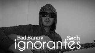 Ignorantes - Bad Bunny x Sech (Cover Version Acustica)