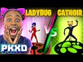 Miraculous LadyBug VS CATNOIR in PK XD