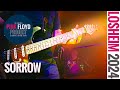 The PINK FLOYD Project | Sorrow | Losheim 24