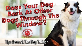 How Do I Make My Dog Stop Barking At Other Dogs Through The Window? - Tips From Al The Dog Trainer