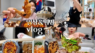 (VLOG)S의 N따라잡기(영화보면서)/국물튤립닭발,옛날통닭,냉채족발,혼술,먹방,일상,고양이,강아지,남자옷테무깡