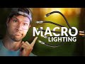 Flexible Macro Photography Lighting - Forest Walk