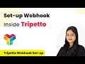 How to Set-up Webhook Inside Tripetto?