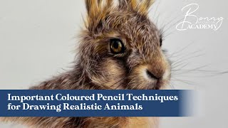 Important Coloured Pencil Techniques for Drawing Realistic Animals