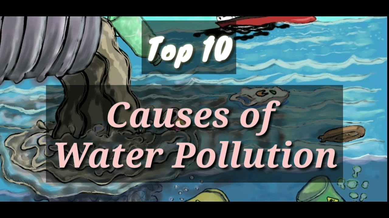 CAUSES OF WATER POLLUTION.Sustainability.. Environmental Science - YouTube