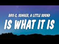 Bru-C - Is What It Is (Lyrics) ft. Songer & A Little Sound