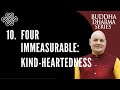 Four Immeasurables: Buddha Dharma Series Part 10