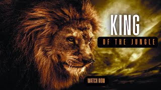 KING OF THE JUNGLE Lion | Motivation By Eric Thomas