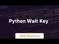 python wait key