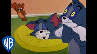 Tom & Jerry | Home Is Where the Duo Are | Classic Cartoon Compilation | WB Kids