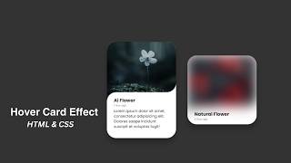 Create Blur Image Card UI Design with Hover Effect Using HTML CSS @mrcodebox33