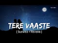 Tere Vaaste (Slowed + Reverb) | Varun Jain, Shadab, Altamash | Zara Hatke Zara Bachke | SR Lofi