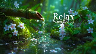 Sound of Water and Relaxing Music 🌳 Peace of Mind, Healing, Stress Relief