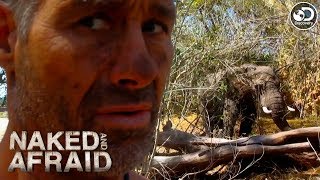 Approached by an Aggressive Bull Elephant | Naked and Afraid