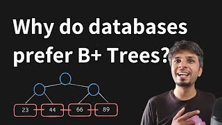 Why do databases store data in B+ trees?