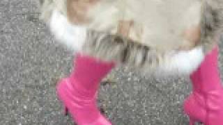 My pink Stiefel. High Heels Walking