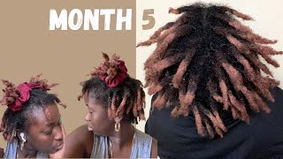 Semi Freeform Locs 1 Month Update / 5 Month Loc Journey