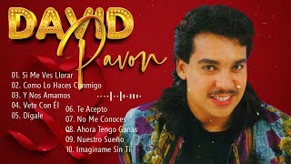 Salsa Music🎶Lo Mejor De David Pavón - Mix Salsas Romanticas De David Pavón - Sal