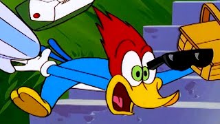 Woody Woodpecker Show | Beach Nuts | Full Episode | Videos For Kids