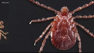 Experts in Pennsylvania urge safety precautions as peak tick season approaches