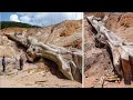 15 Times History Was Rewritten by New Discoveries