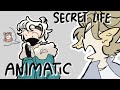 ETHO'S RANKINGS | Secret Life Animatic