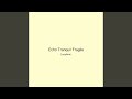 Echo Tranquil Fragile