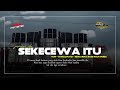 DJ SEKECEWA ITU X WEJANGAN || Trap Jungle Dutch || ANDY RMX