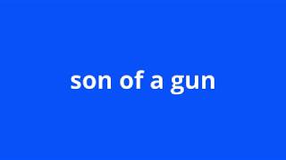 what is the meaning of son of a gun.