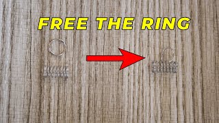 How to Solve the Spring Ring Puzzle 🙂#shorts
