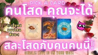 คนโสด คุณจะได้สละโสดกับคนคนนี้! PICK A CARD 🔮💖SINGLE! LOVE IS ON YOUR WAY!✨