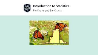 Introduction to Statistics: Pie Charts and Bar Charts