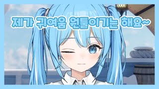 귀여운척 하는 타비 (근데 귀여움)